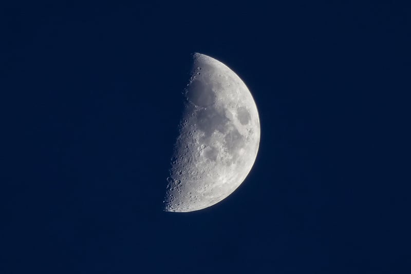 Lunar Engagement Shoots
