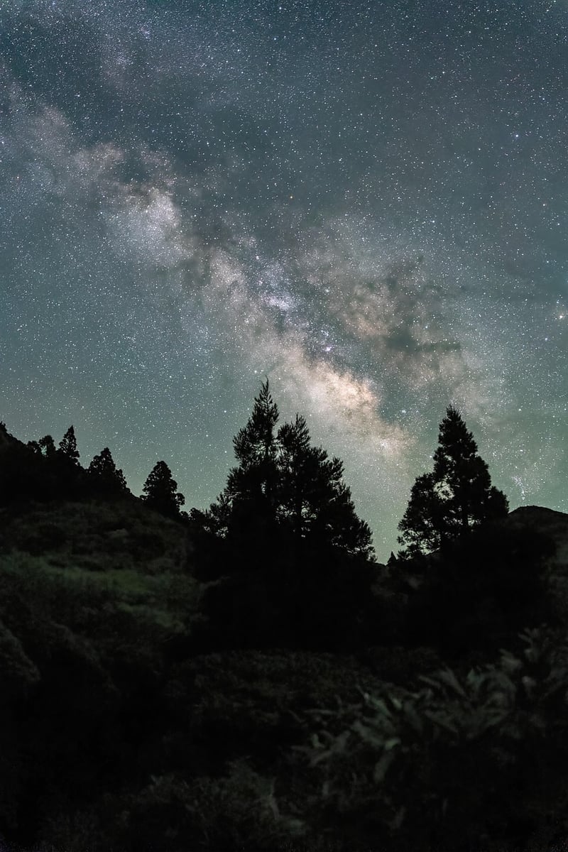 Milky Way Table Settings